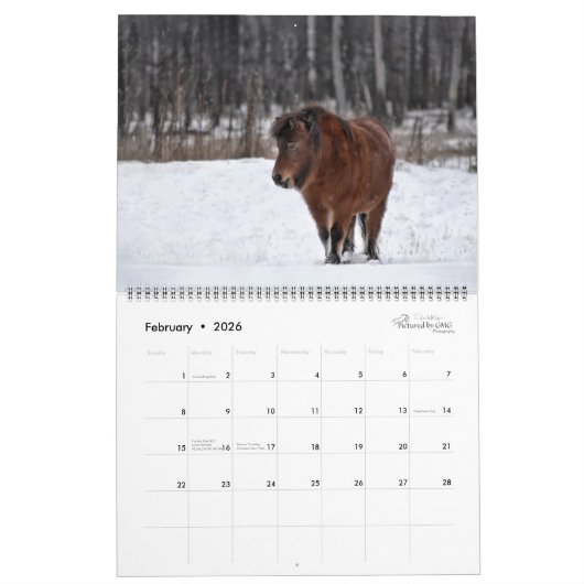 2026 Equine Calendar カレンダー (2月 2026)