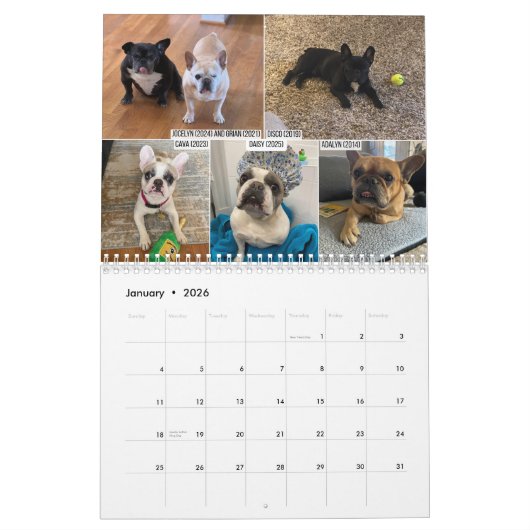 2026 FBRN French Bulldog Rescue Network Calendar カレンダー (1月 2026)