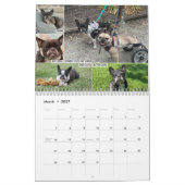 2026 FBRN French Bulldog Rescue Network Calendar カレンダー (3月 2027)