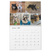 2026 FBRN French Bulldog Rescue Network Calendar カレンダー (1月 2027)