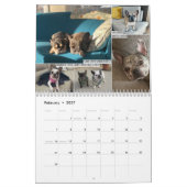 2026 FBRN French Bulldog Rescue Network Calendar カレンダー (2月 2027)