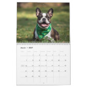 2026 French Bulldog Calendar | 12 Months カレンダー (3月 2027)