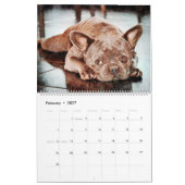 2026 French Bulldog Dog Mama Frenchie Lovers Gift カレンダー (2月 2027)