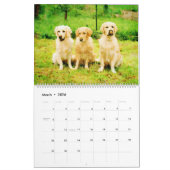 2026 Golden Retriever Dogs Golden Owner gift カレンダー (3月 2026)