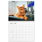 2026 Gorgeous Abyssinian Cat Lovers Gift カレンダー (3月 2027)