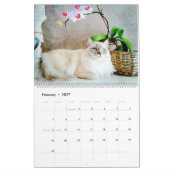 2026 Gorgeous Rag Doll Cat Mam Lover Owner Gift カレンダー (2月 2027)