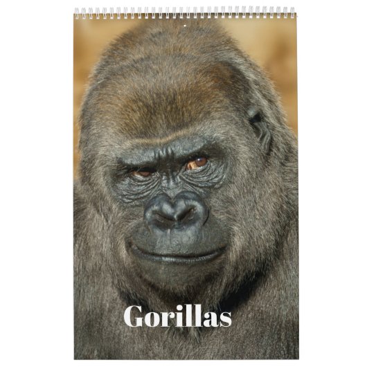 2026 Gorillaカレンダー カレンダー (カバー)