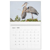 2026 Great Blue Heron Courting Displays Calendar カレンダー (3月 2026)