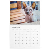2026 Hairless Sphynx Cat Owners Lovers Gift カレンダー (1月 2026)