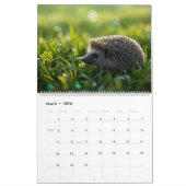 2026 Hedgehog Wall Calendar | 12 Month カレンダー (3月 2026)