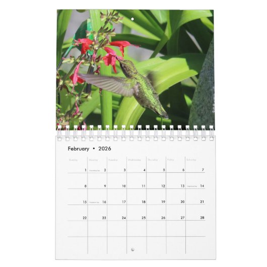 2026 Hummingbird Calendar カレンダー (2月 2026)
