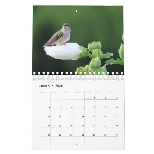 2026 Hummingbird Calendar カレンダー (1月 2026)
