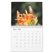 2026 Hummingbird Calendar カレンダー (3月 2026)