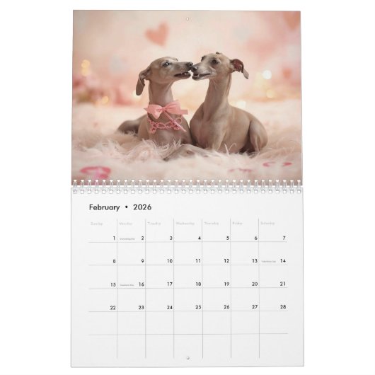 2026 Italian Greyhound Wall Calendar  カレンダー (2月 2026)