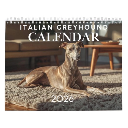 2026 Italian Greyhound Wall Calendar  カレンダー (カバー)