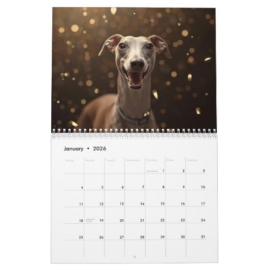 2026 Italian Greyhound Wall Calendar  カレンダー (1月 2026)