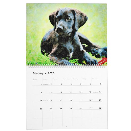 2026 Labrador Retriever Dog Owners Lovers Gift カレンダー (2月 2026)
