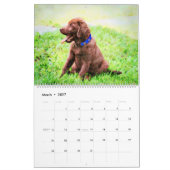 2026 Labrador Retriever Dog Owners Lovers Gift カレンダー (3月 2027)