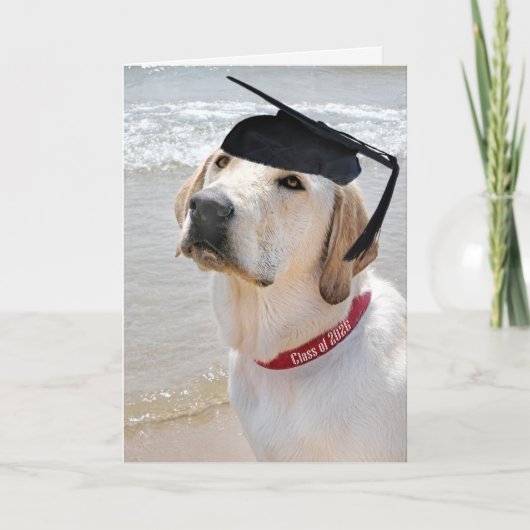 2026 Labrador Retriever With Graduation Cap カード (正面)