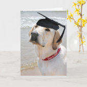 2026 Labrador Retriever With Graduation Cap カード (黄色い花)