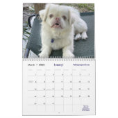 2026 Liz E.'s Pekingese Calendar カレンダー (3月 2026)