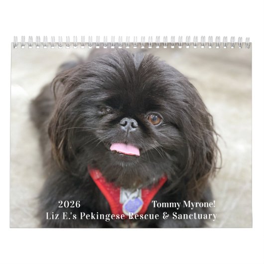 2026 Liz E.'s Pekingese Calendar カレンダー (カバー)