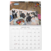 2026 Love & Hisses Calendar - ALL FOSTERS カレンダー (1月 2026)