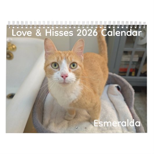 2026 Love & Hisses Calendar - Esmeralda カレンダー (カバー)