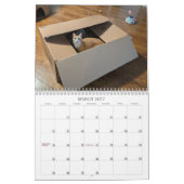 2026 Love & Hisses Calendar - Esmeralda カレンダー (3月 2027)