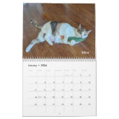 2026 Love & Hisses Calendar - Permanent Residents カレンダー (1月 2026)