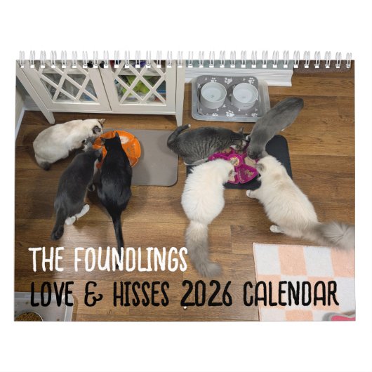 2026 Love & Hisses Calendar - the Foundlings カレンダー (カバー)