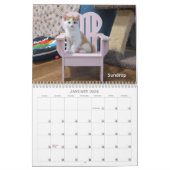 2026 Love & Hisses Calendar - the pink Adirondack カレンダー (1月 2026)
