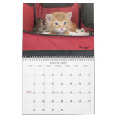 2026 Love & Hisses Calendar - The Tiny Dancers カレンダー (3月 2027)