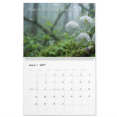 2026 Luminous Cosmic Harmony Wall Calendar カレンダー (3月 2027)