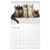 2026 Maine Coon Cat Calendar カレンダー (3月 2026)