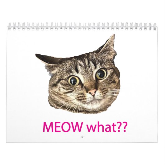 2026 MEOW what?? Calendar カレンダー (カバー)