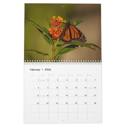 2026 Monarch Butterflies Calendar カレンダー (2月 2026)
