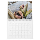 2026 (Mostly) Nature Calendar カレンダー (3月 2027)