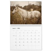2026 Nature Photography & Art Calendar カレンダー (3月 2026)