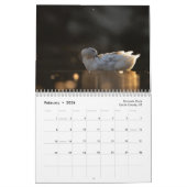 2026 Nature Photography Calendar カレンダー (2月 2026)