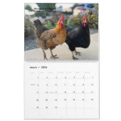 2026 Neighborhood Chicken Calendar - Large カレンダー (3月 2026)