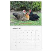 2026 Neighborhood Chicken Calendar - Large カレンダー (2月 2027)