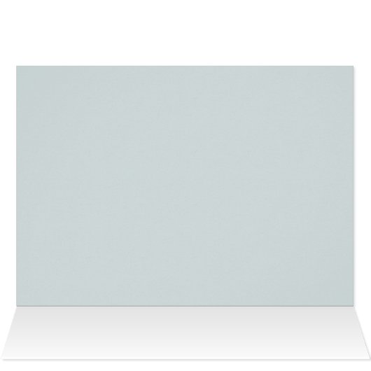 2026 new year & Christmas trees rhinestones wish (内部横(上))