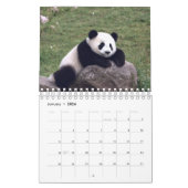 2026 Panda Calendar カレンダー (1月 2026)