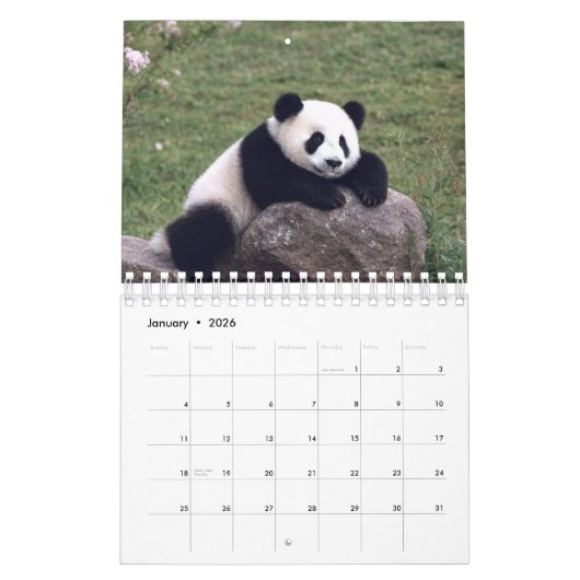 2026 Panda Calendar カレンダー (1月 2026)