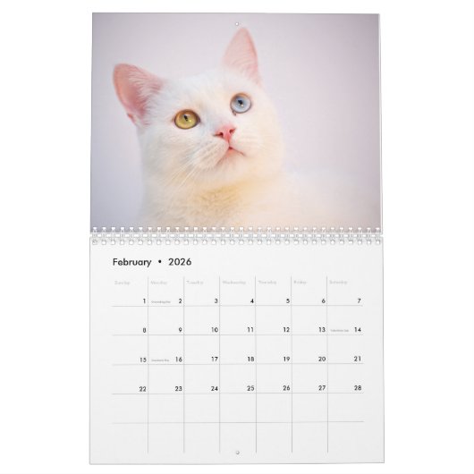 2026 Personalized Cat Photos Create Your Own カレンダー (2月 2026)