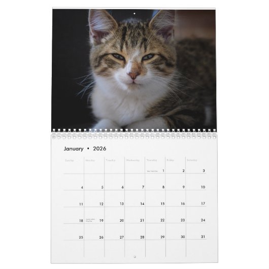 2026 Personalized Cat Photos Create Your Own カレンダー (1月 2026)