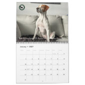 2026 Pointer Rescue Org Calendar カレンダー (1月 2027)