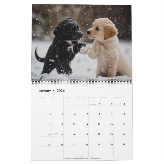 2026 Puppies Wall Calendar カレンダー (1月 2026)