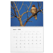 2026 Raptor Rapture カレンダー (3月 2026)